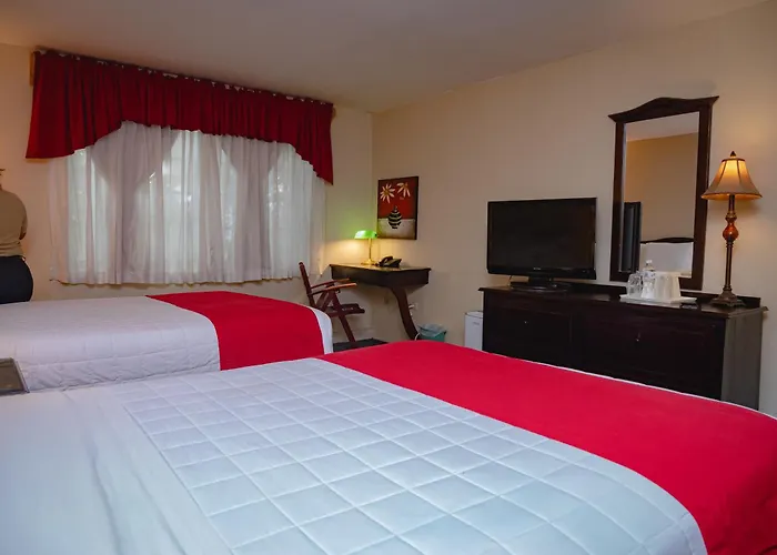 Apart Hotel La Cordillera
